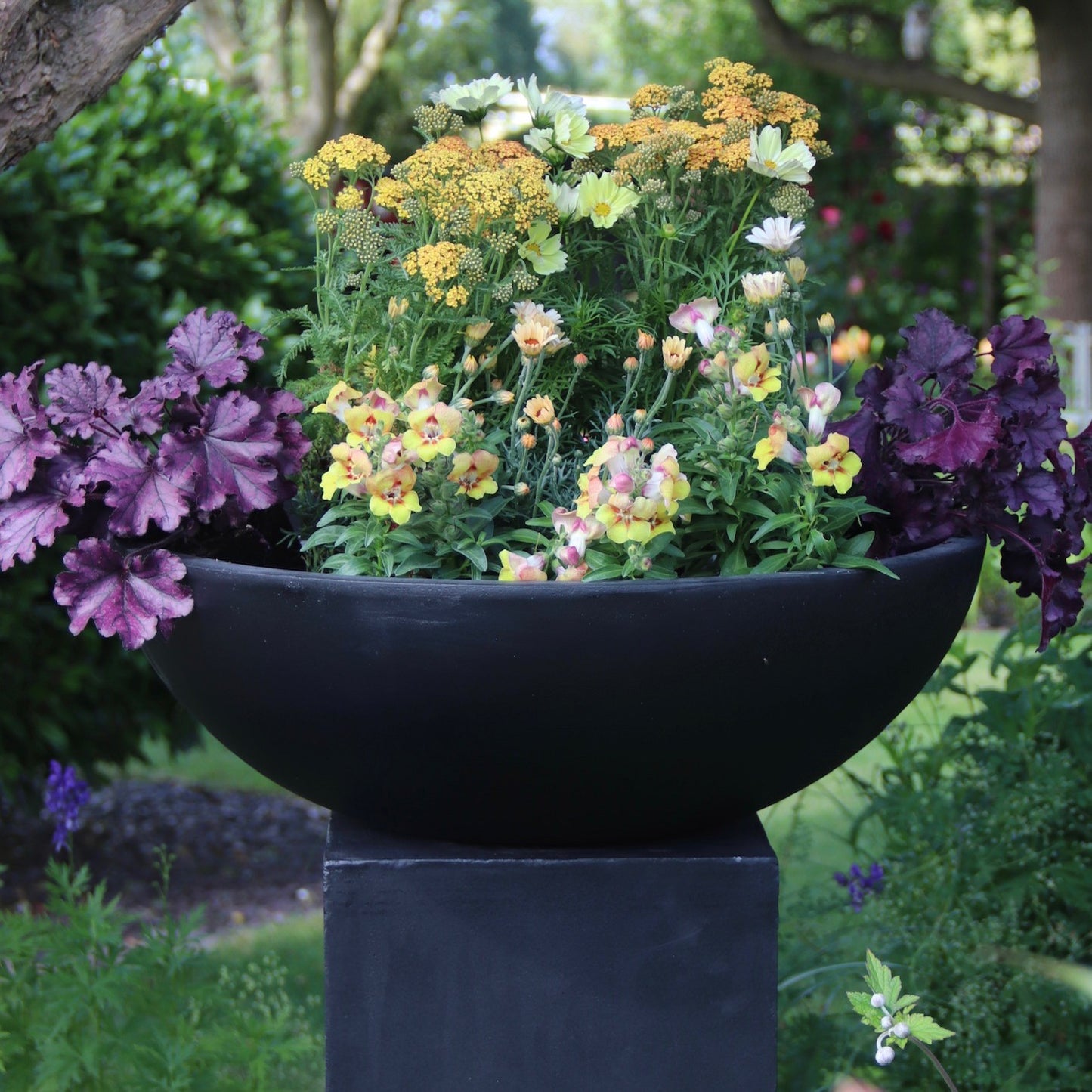 Water Feature / Bird Bath / Shallow Bowl Planter on Plinth - Black