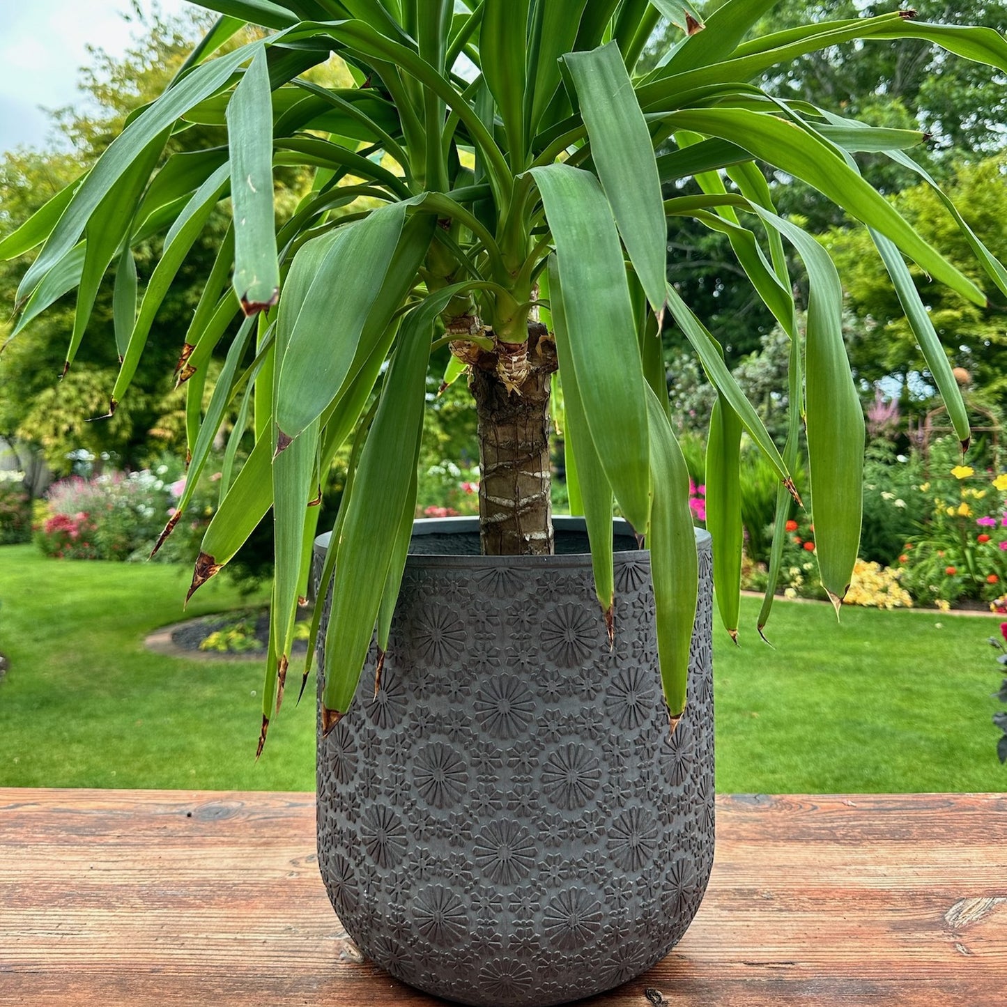 Patterned Flower Planter - Dark Grey