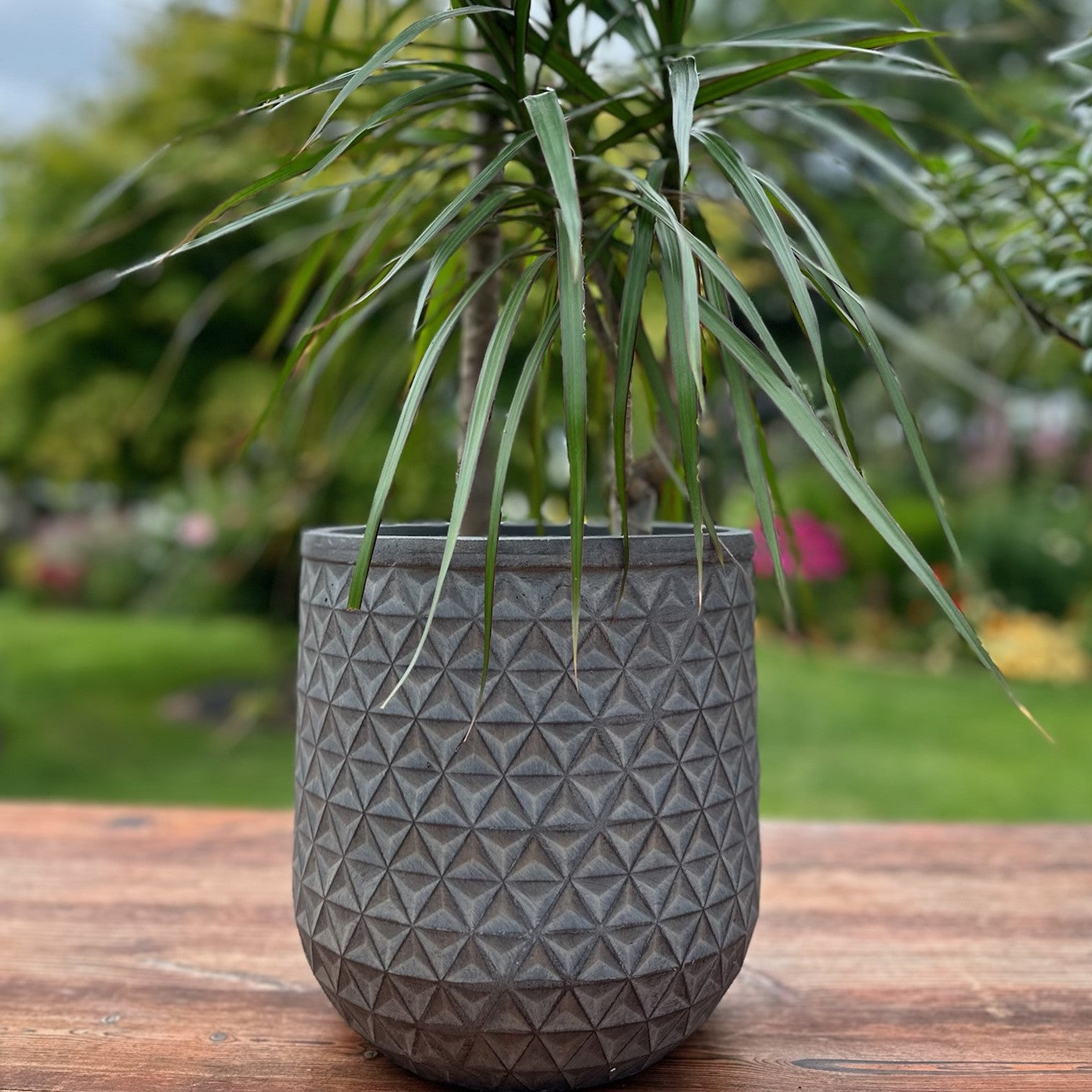 Patterned Geometric Planter - Dark Grey