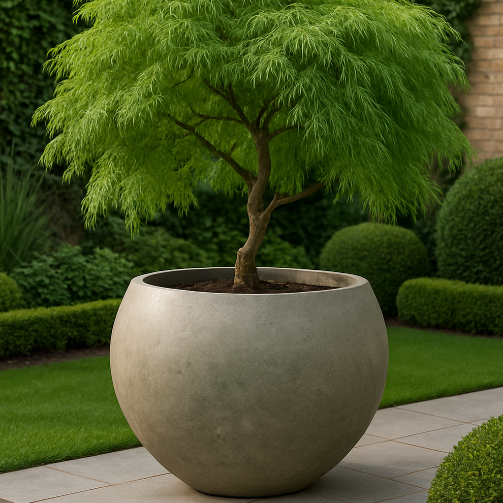 Rustic Bowl Planter - Dark Grey – Rago UK Planters