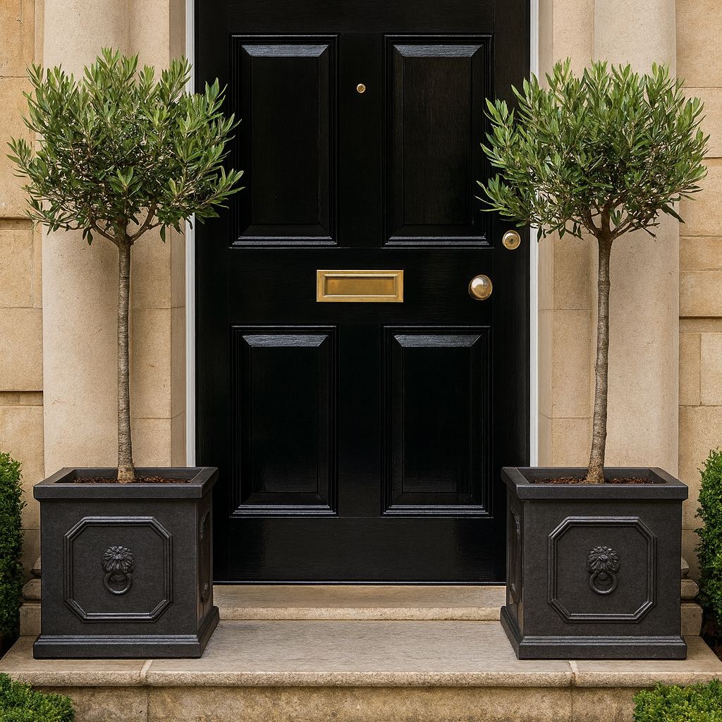 Black door with gold handle and mail slot flanked by two potted trees on a stone pathway.