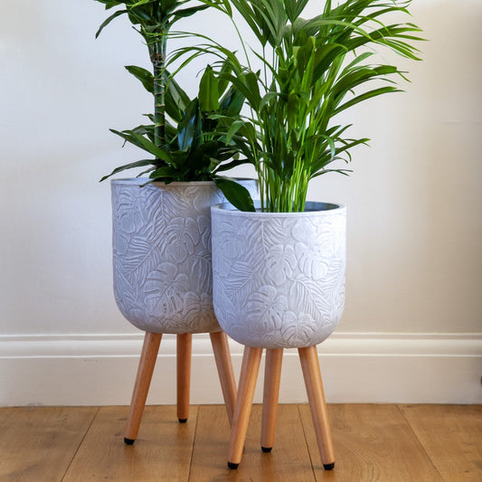 Tropical Indoor Planter on Legs - White
